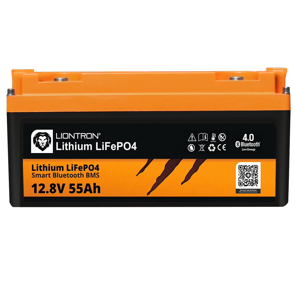Lithium LiFePO4 LX BMS 12,8V 55Ah