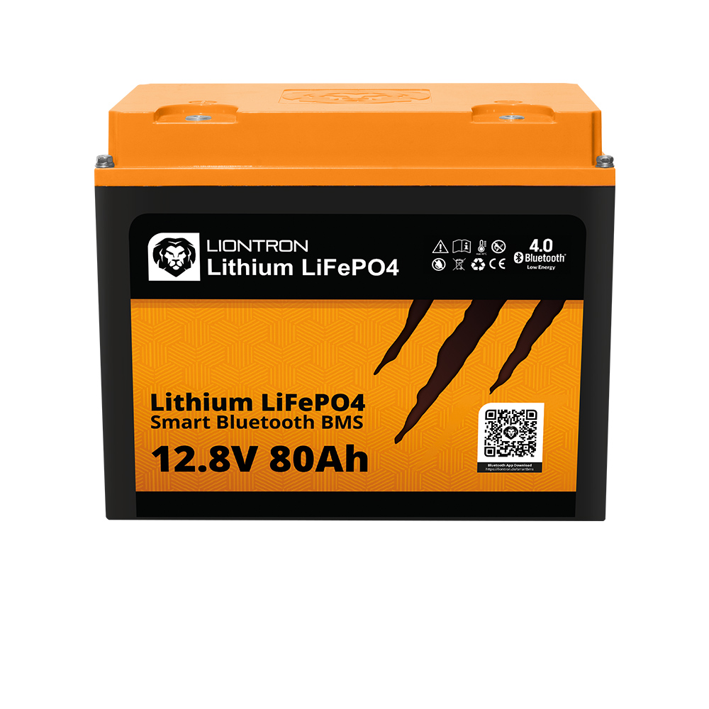 Lithium LiFePO4 LX BMS 12,8V 80Ah