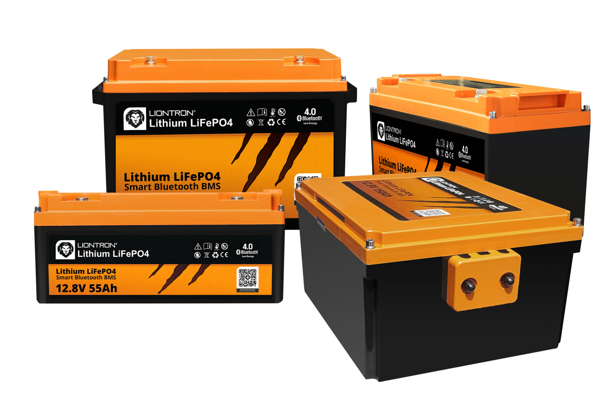 LIONTRON LiFePO4 12,8V 200Ah Wohnmobil-Untersitz-Batterie LX Smart BMS mit  Bluetooth Ersatz für AGM- oder Gel-Batterien