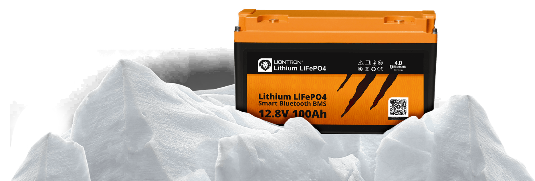 LIONTRON LiFePO4 Wohnmobil Untersitz Akkus - LIONTRON Lithium